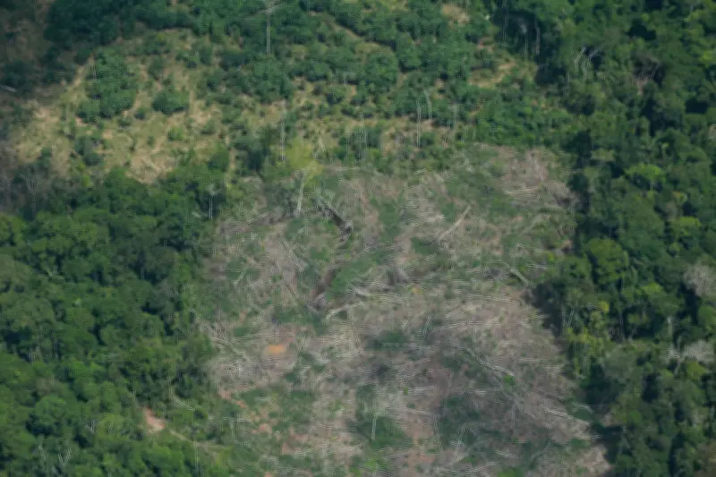 GEF reduce fondos ambientales: Colombia enfrenta recorte del 27%