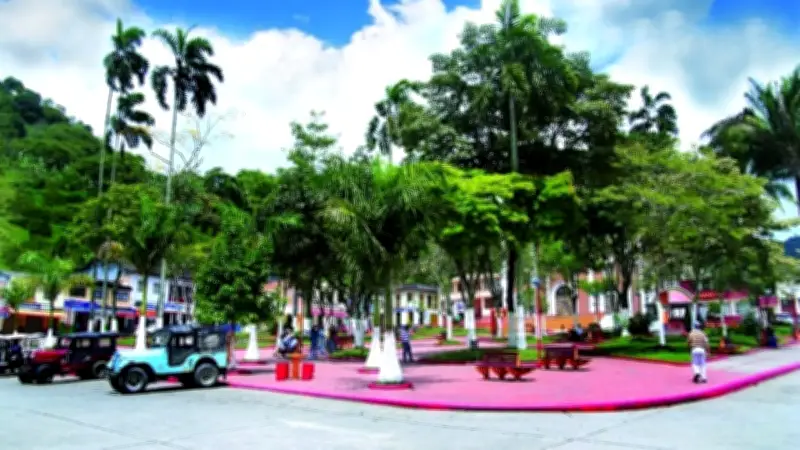 Génova, Quindío: un paraíso cafetero para el ecoturismo y la aventura