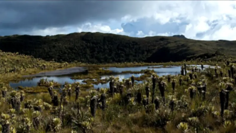 Guardianes del Páramo: 190 ciudadanos se capacitan para proteger el agua en Colombia