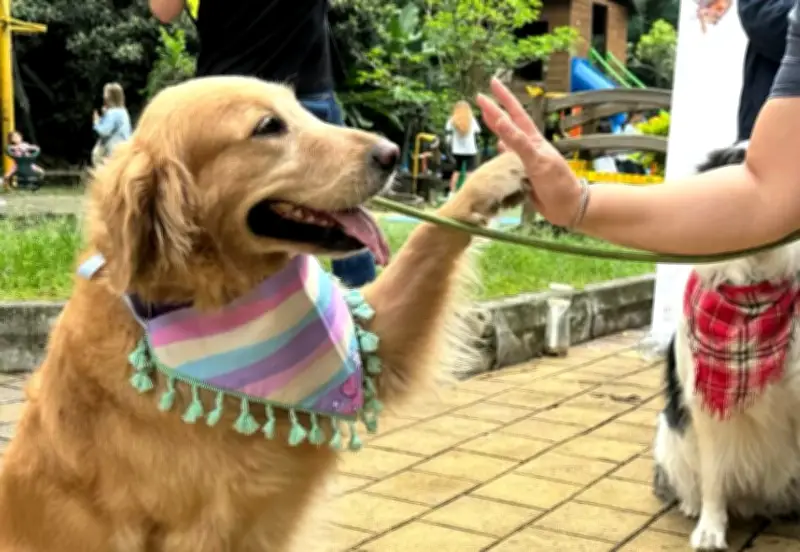 Guautón en Barranquilla: deporte y solidaridad por mascotas vulnerables