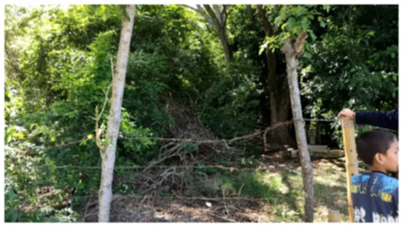 Hallan sin vida a menor de 13 años en zona rural de La Victoria, Valle
