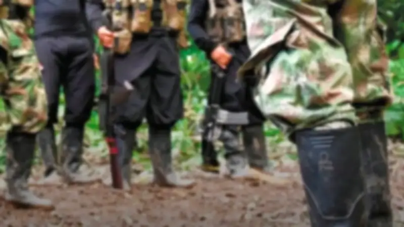 ICBF rechaza muerte de 11 menores en combates en Guaviare