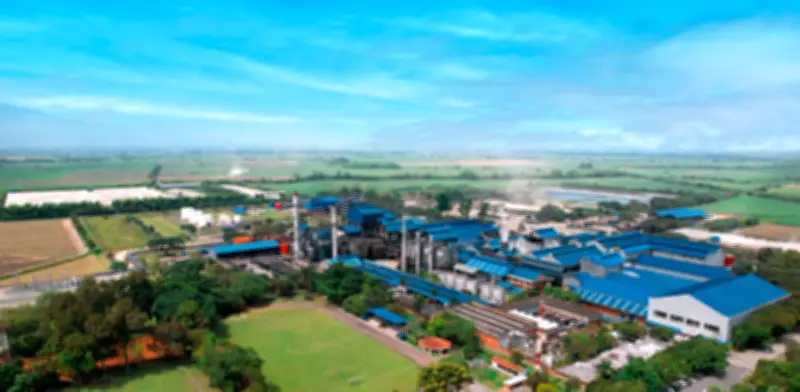 Incauca se consolida como el mayor cogenerador de energía en Colombia