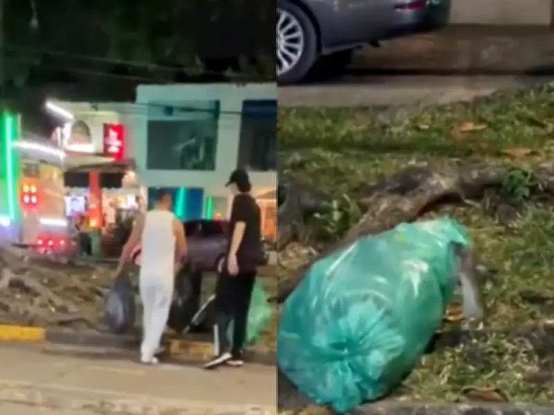 Intervención sanitaria en el sur de Cali por presencia de ratas en zona gastronómica