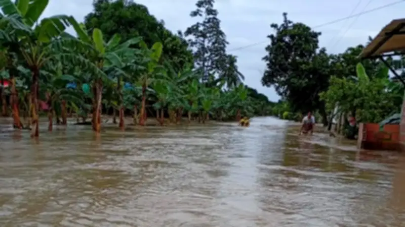Inundaciones en Turbo, Antioquia: desbordamiento de ríos afecta viviendas y cultivos