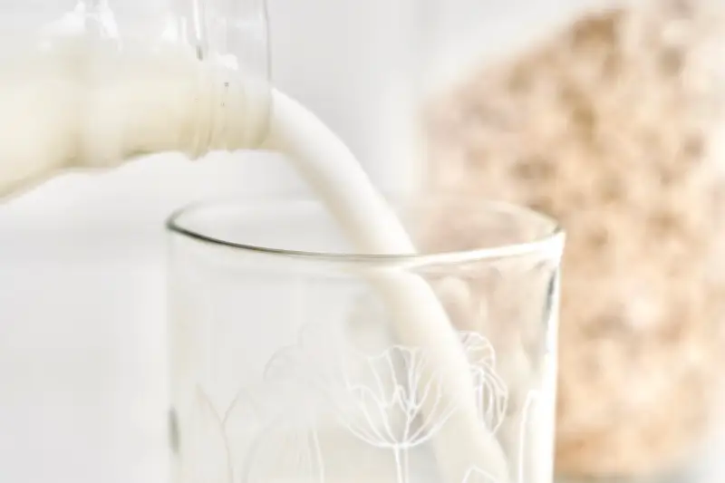 Leche vegetal de marañón, coco y avena: receta saludable y fácil