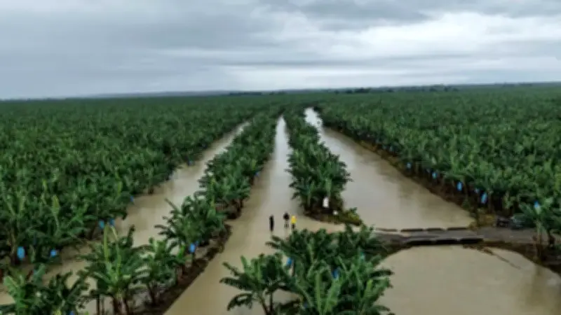 Lluvias en Antioquia: inundaciones en Andes y Turbo afectan viviendas y cultivos