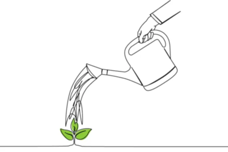 Mejor horario para regar plantas: mañana, tarde o noche
