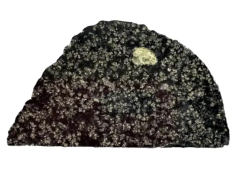 Meteorito hallado en el Sahara revela evidencia de un protoplaneta de hace 4.500 millones de años