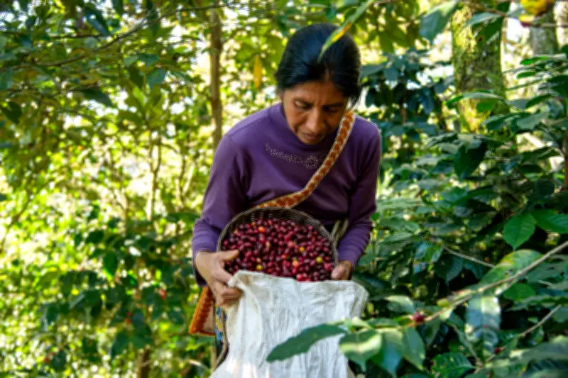 Mujeres campesinas: pobreza y desigualdad persisten en el campo colombiano