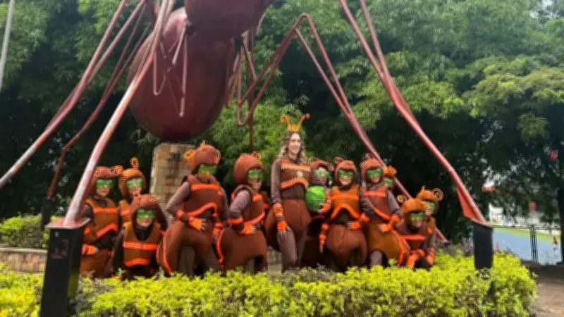 Niños santandereanos buscan bailar con Shakira en el Mundial 2026