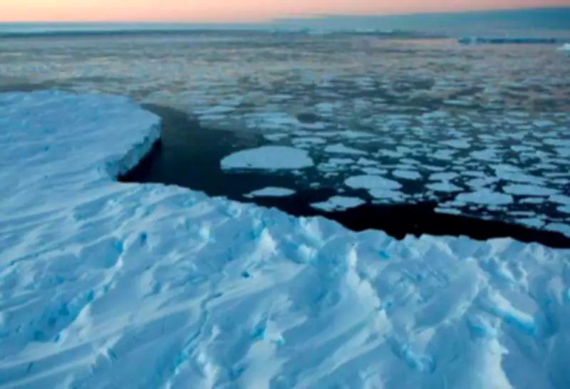 ONU alerta: océano en crisis por cambio climático y contaminación