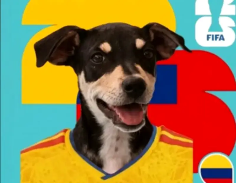Perros rescatados 'predicen' resultados del Mundial 2026 para encontrar hogar