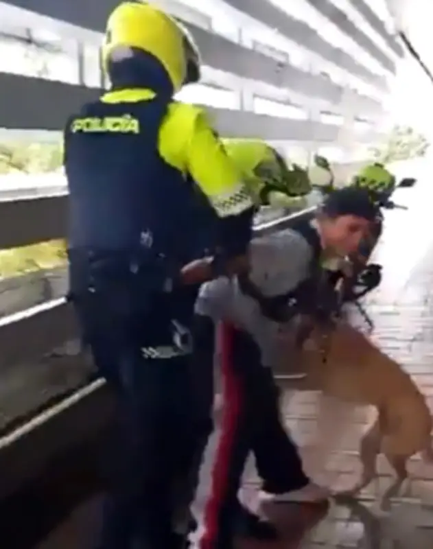 Policía de Bogotá se pronuncia sobre video de intervención a músico callejero