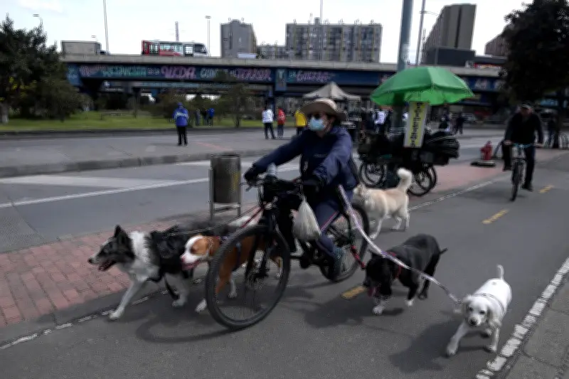 Recorre Bogotá en bicicleta con tu perro: parques y Ciclovía pet-friendly