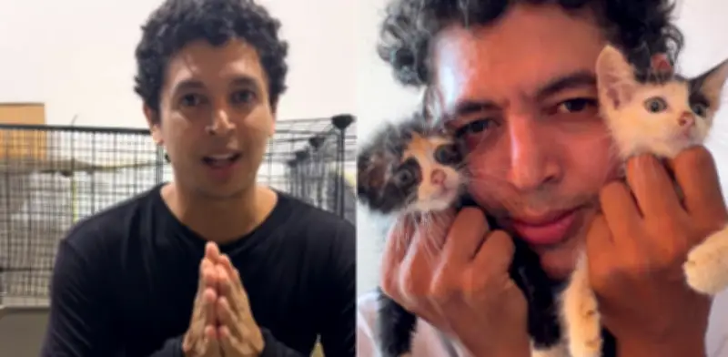 Refugio de gatitos en Barranquilla pide ayuda urgente para no cerrar