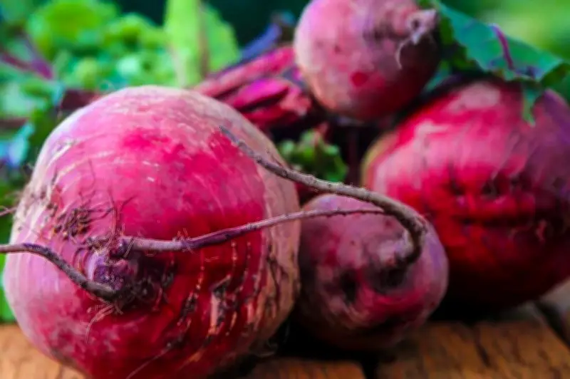 Remolacha: el superalimento rojo que transforma tu salud y cocina