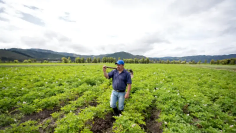 Sector agropecuario pierde impulso: PIB cae 1,4% en primer trimestre de 2026