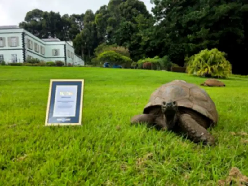 Tortuga Jonathan, de 194 años, es declarada 'Ícono' de los Récords Guinness