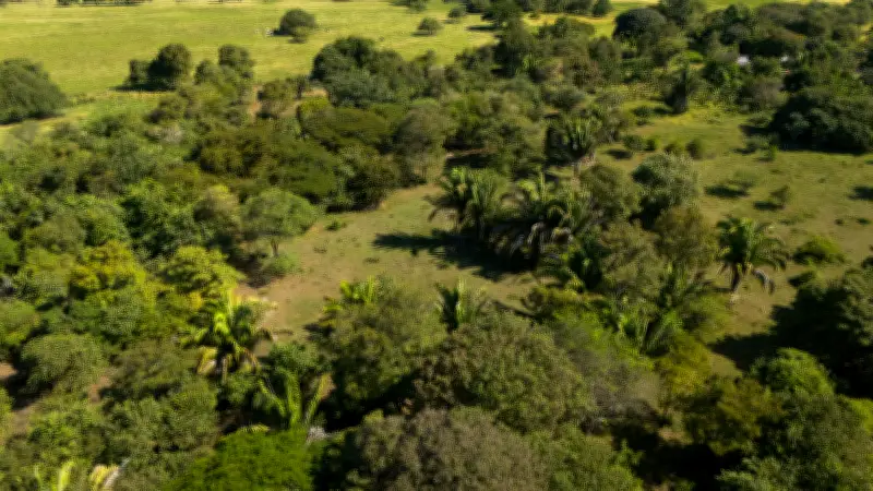 Transición territorial justa en el corredor minero del Cesar: un camino hacia la sostenibilidad