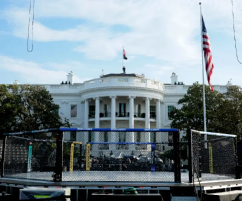 Trump inicia temporada deportiva con combates UFC en la Casa Blanca