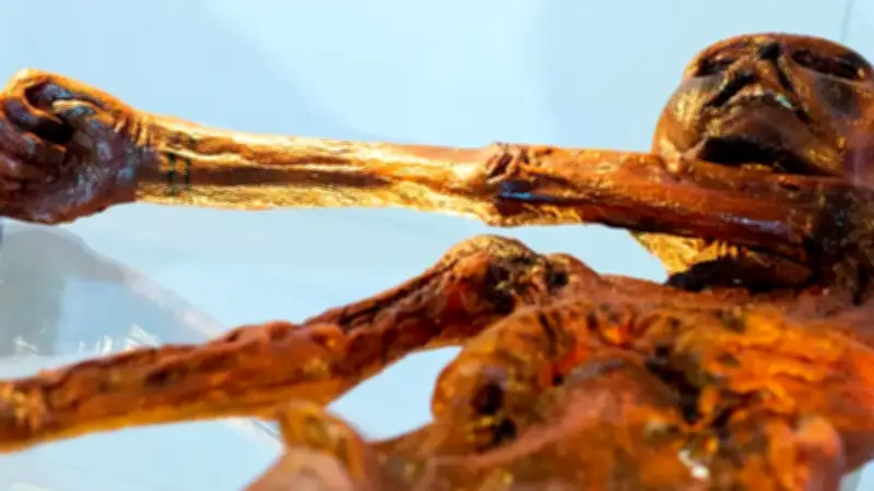 Ötzi: la momia de hielo de 5.300 años es un ecosistema vivo