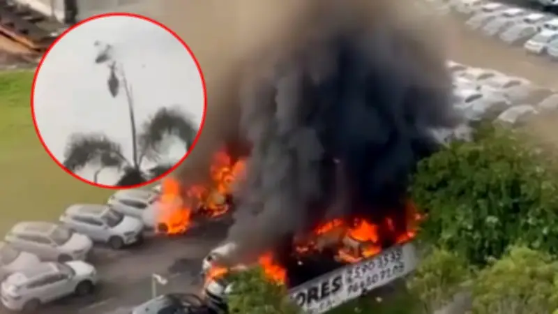 Video muestra el choque de helicópteros que mató a Oliver Tree en Brasil