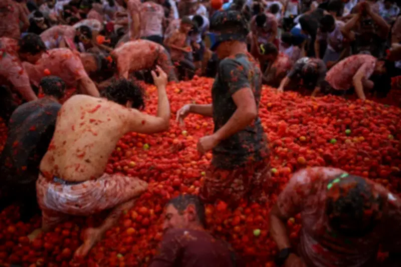 XVI Gran Tomatina Colombiana: la batalla de tomates en Sutamarchán