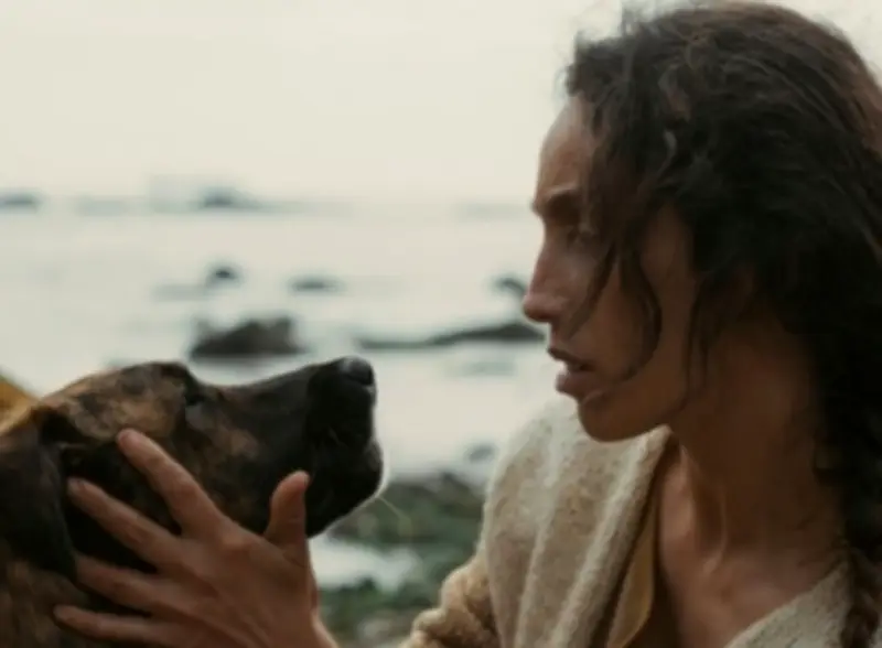Yuri, perrita rescatada, gana el Palm Dog en Cannes 2026