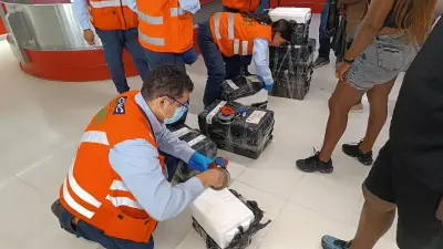 Decomisan carne de armadillo y guagua en aeropuerto de Palmira