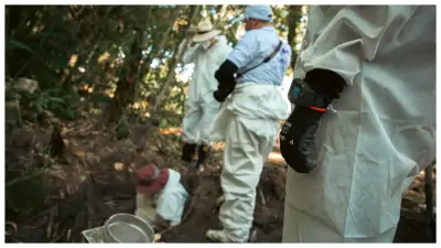 JEP envía a 29 militares retirados al tribunal por falsos positivos en Huila
