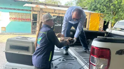 Rescatan 24 tortugas morrocoy, loros y guacamaya en Guaduas, Cundinamarca