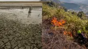 13 municipios de Santander en alerta por posible llegada del fenómeno de El Niño