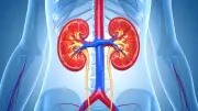 8 reglas de oro para cuidar la salud renal en niños y adolescentes