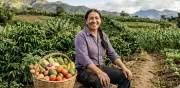 Agricultores enfrentan nuevo desafío climático con probabilidad superior al 90% de El Niño