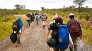 Alerta en El Bagre: desplazamiento forzado por disputas armadas