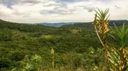 Arcabuco: el pueblo boyacense donde las almojábanas son imperdibles