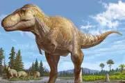 Brazos pequeños del T. rex: el cráneo influyó en su evolución