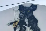 Carbón, el perro que es parte de la escuela y la comunidad en Concordia
