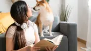 Científicos descubren qué parte del rostro humano miran primero los perros