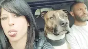 Condenan a hombre por muerte de su novia embarazada atacada por pitbull