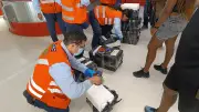 Decomisan carne de armadillo y guagua en aeropuerto de Palmira
