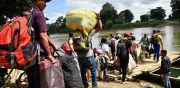 Defensoría alerta por desplazamiento de 784 personas en el Catatumbo