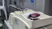 Donafest: jornada para fomentar la donación recurrente de sangre en Medellín