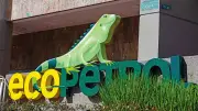 Ecopetrol: ¿Junta paralela con chat aparte excluye a minoritarios?
