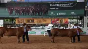 Feria Nacional de Ganadería en Córdoba: programación completa del 5 al 15 de junio