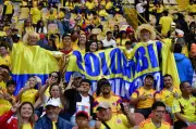 Fiebre mundialista: el 90% de colombianos prefiere ver a su selección campeona