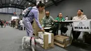 Gobierno prohíbe celulares en mesas de votación para elecciones 2026