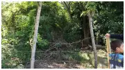 Hallan sin vida a menor de 13 años en zona rural de La Victoria, Valle