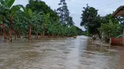 Inundaciones en Turbo, Antioquia: desbordamiento de ríos afecta viviendas y cultivos